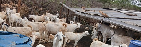 Mnyika_1 Profile Banner