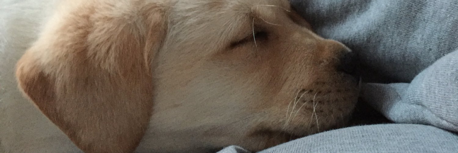 scotscanuck's profile banner image