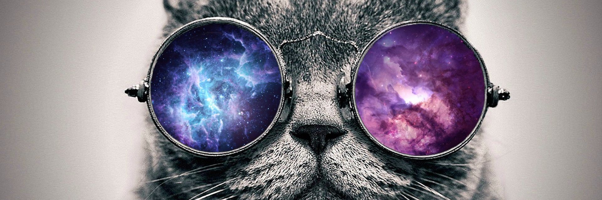 RockerKitty14's profile banner image