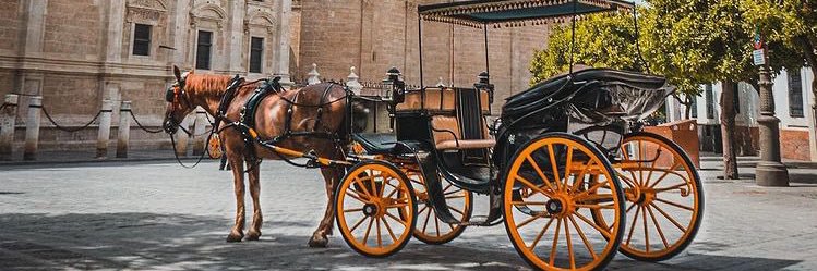 Nitish Singh™ banner