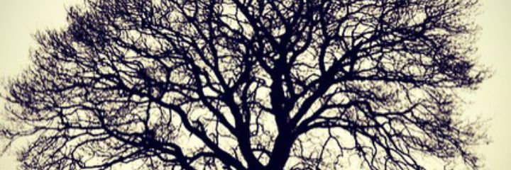 itzrosyk's profile banner image