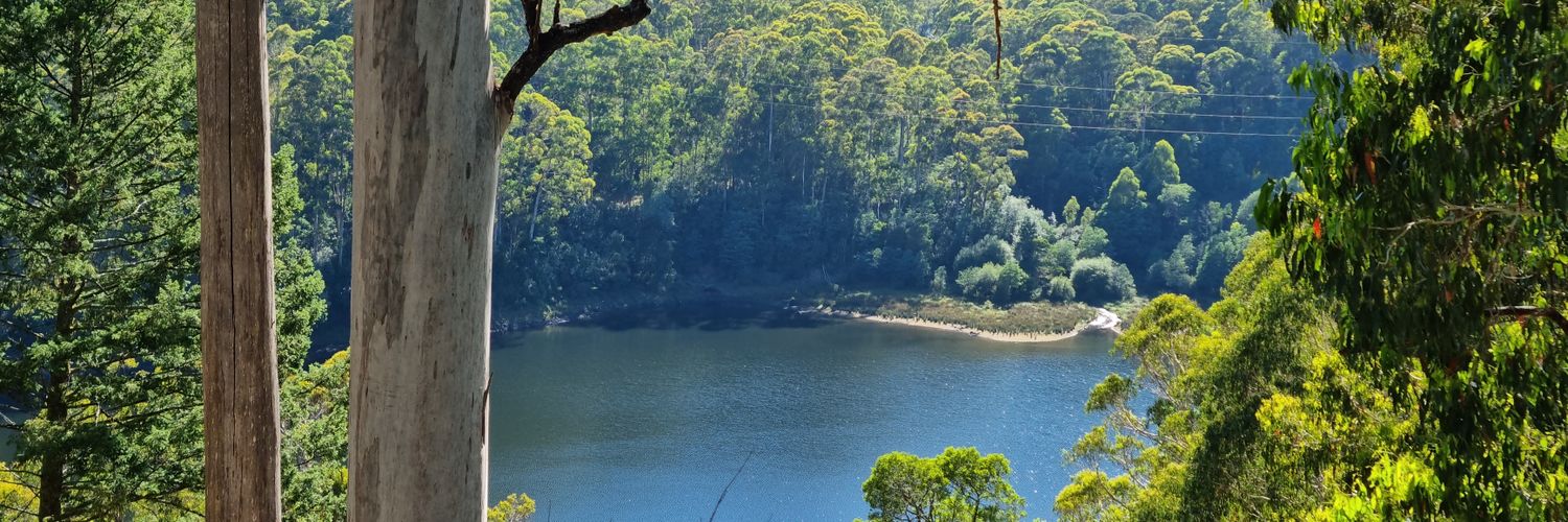 Caitlin Chancellor banner