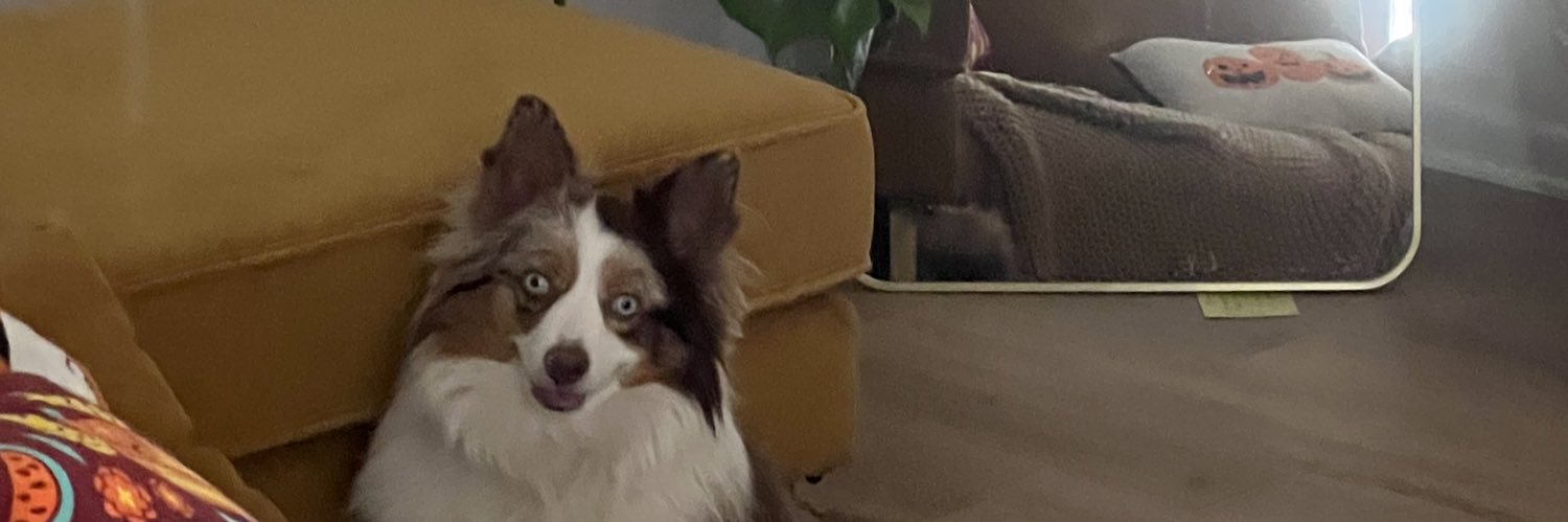 leetyyyy's profile banner image