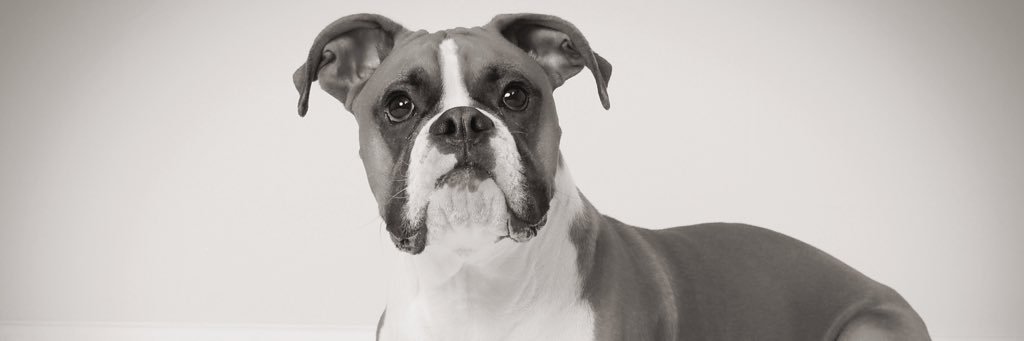 jonesn215's profile banner image