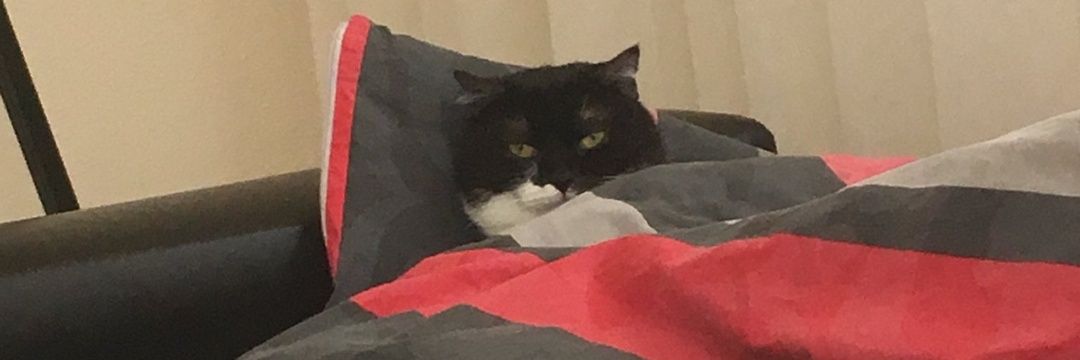 Mertcanylcglu's profile banner image