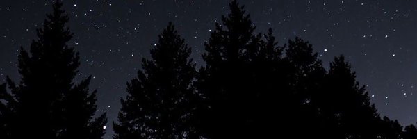 Pranathi_DVLS Profile Banner