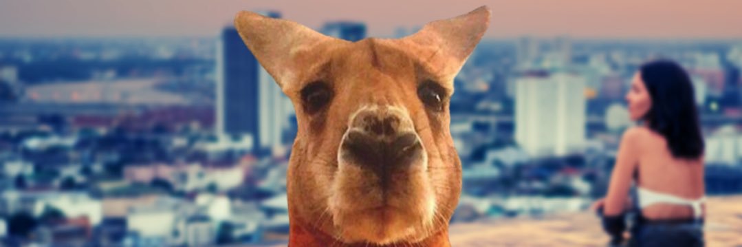 droitom's profile banner image