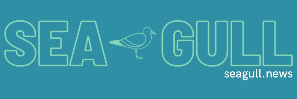The Brighton Seagull banner