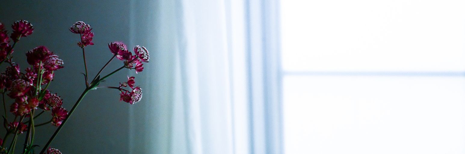 motomy banner