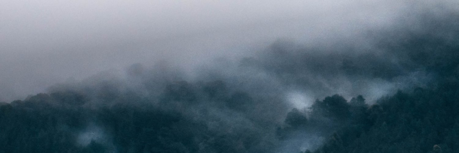 Mykhailo Soluk banner