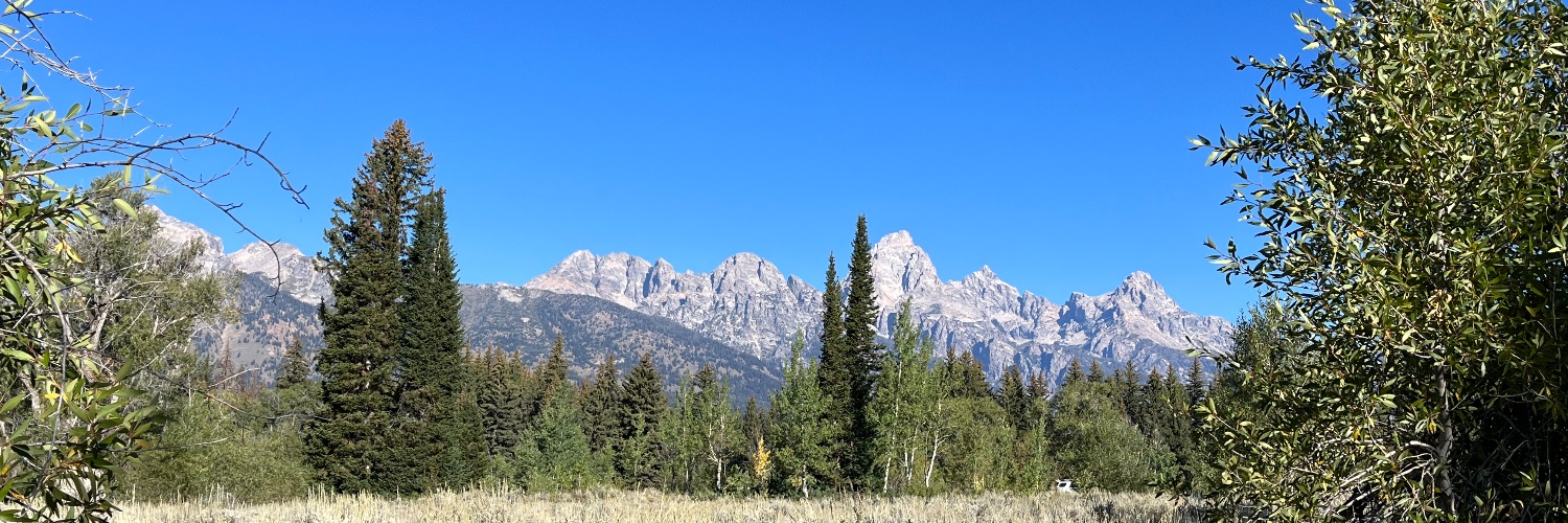HomeWyo's profile banner image