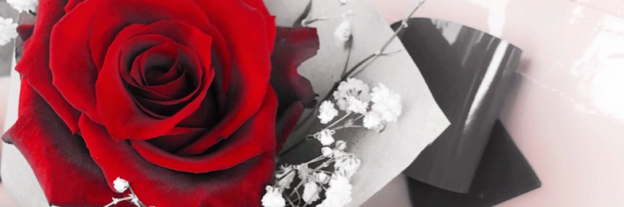 11Albaronh's profile banner image