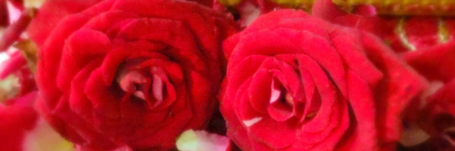 priza_7's profile banner image