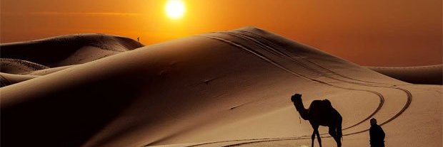noury31's profile banner image