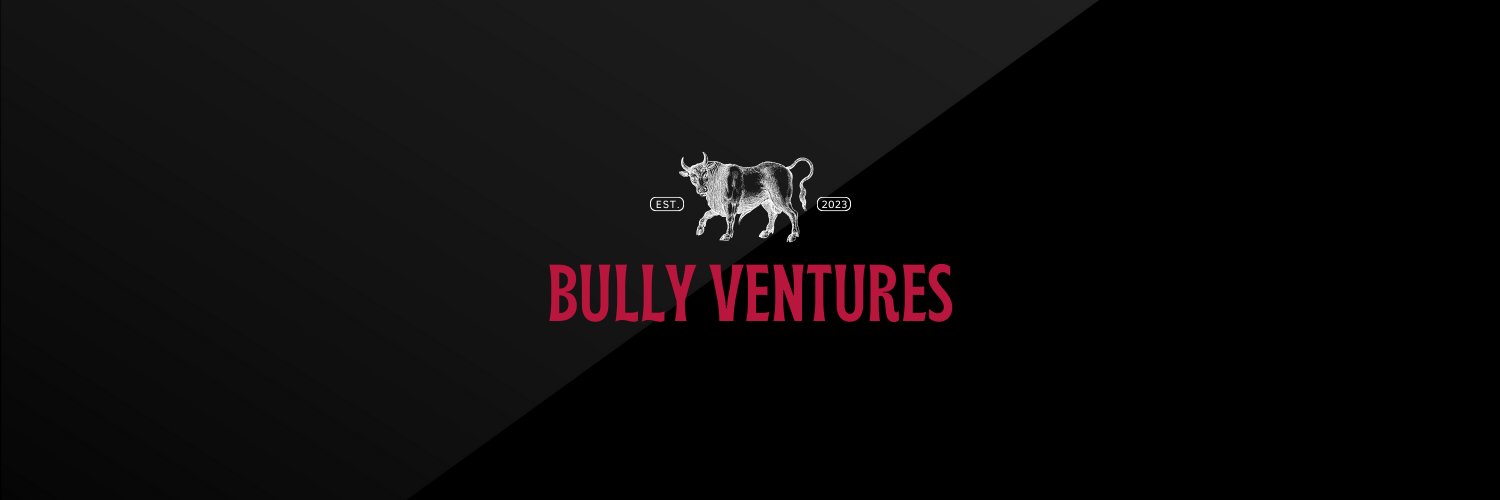 Bully Ventures banner