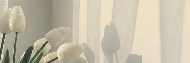 14poom's profile banner image