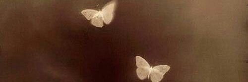 lxxloo2's profile banner image