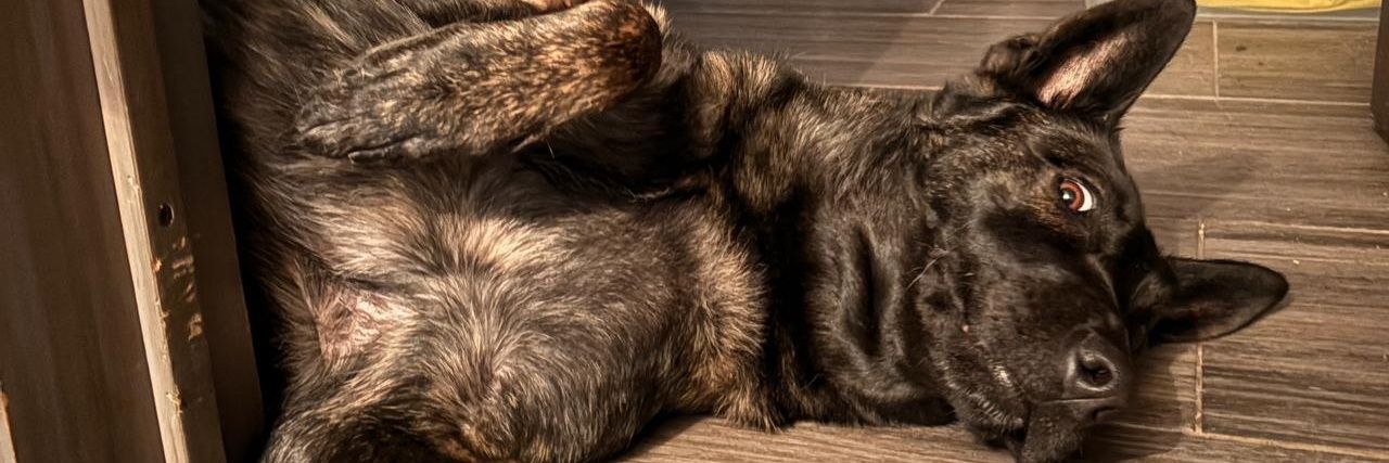licalara's profile banner image