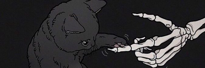 fanceyplanet's profile banner image