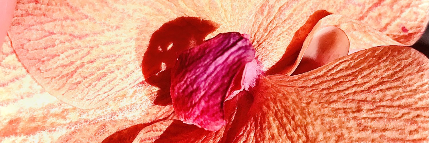 BluButterfly 🌸🦋 banner