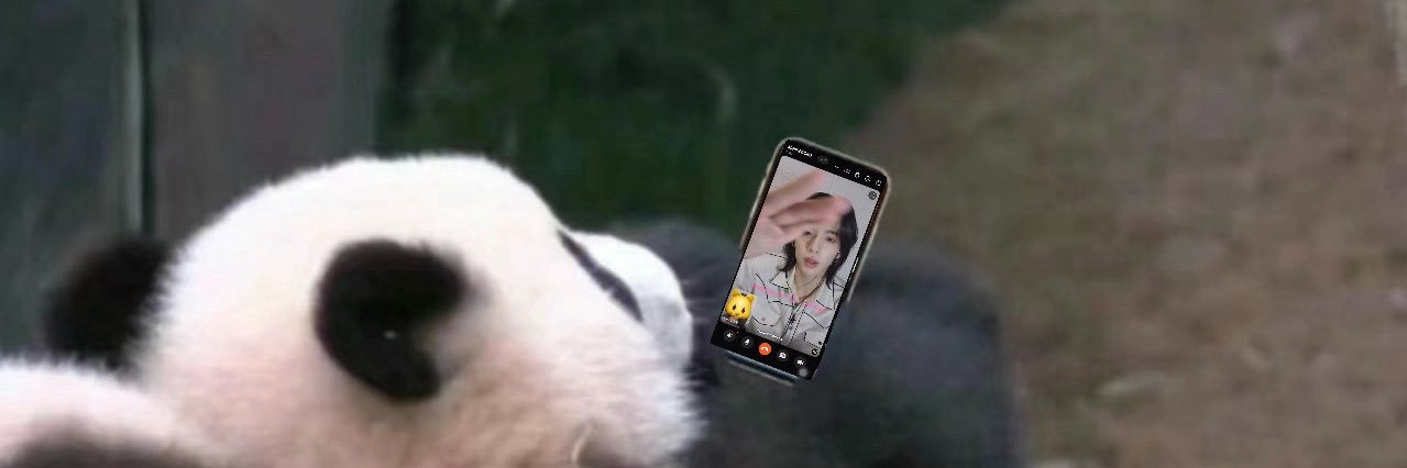 메이미🐱 banner