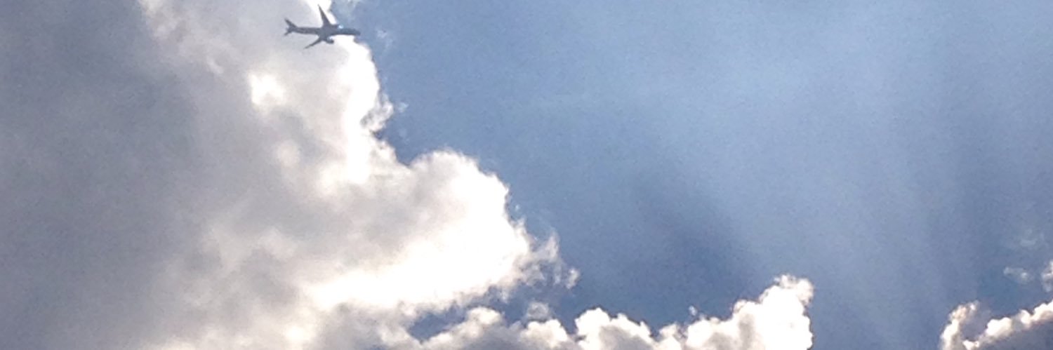 🔻 banner