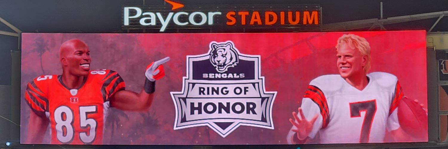 AwfulSirWilder's profile banner image