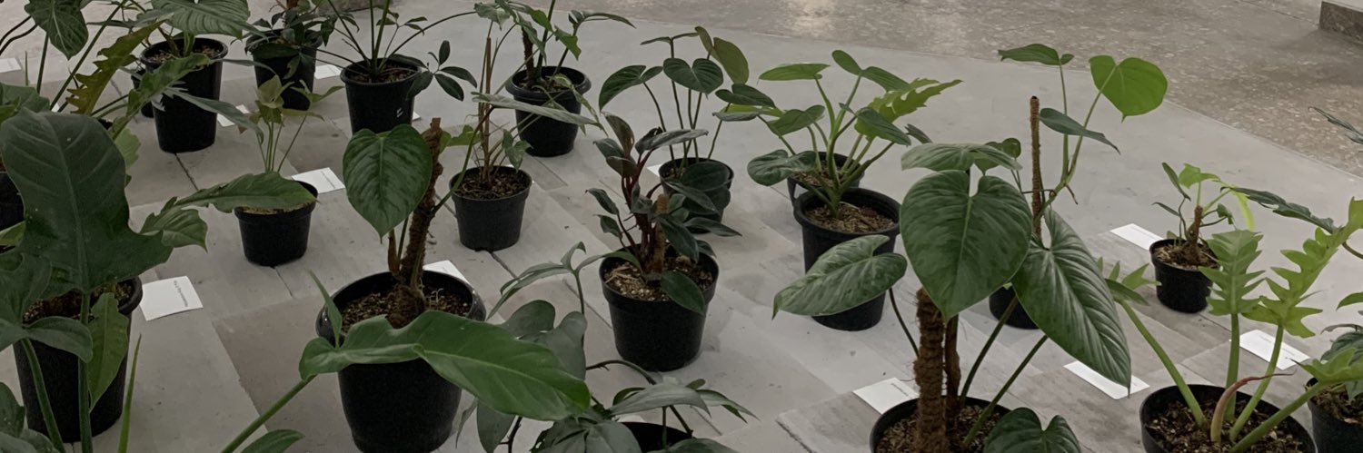 thelouplants's profile banner image