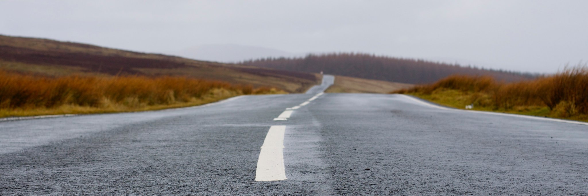 Mathilde Sophys banner