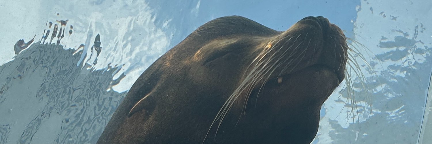 123113kp's profile banner image