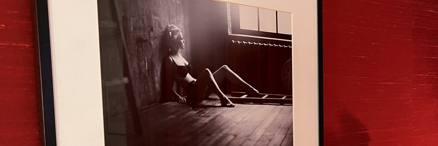 _n_e_L_e_'s profile banner image