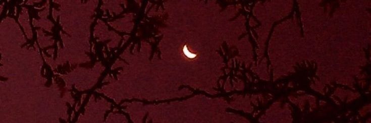 vivid_moth's profile banner image