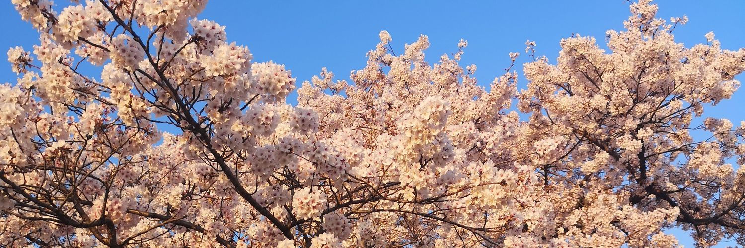matsu_hh's profile banner image