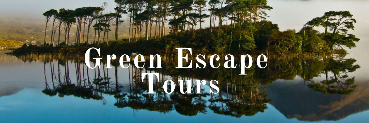 Anne-Céline LD 🏌🚵‍♀️🏄‍♀️ banner