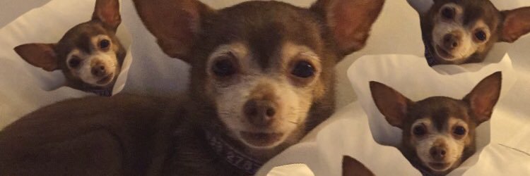 shalpy717's profile banner image