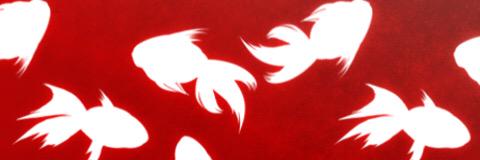 chicosakura's profile banner image
