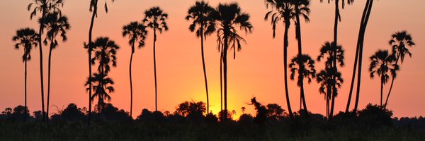 BrydonN2 Profile Banner