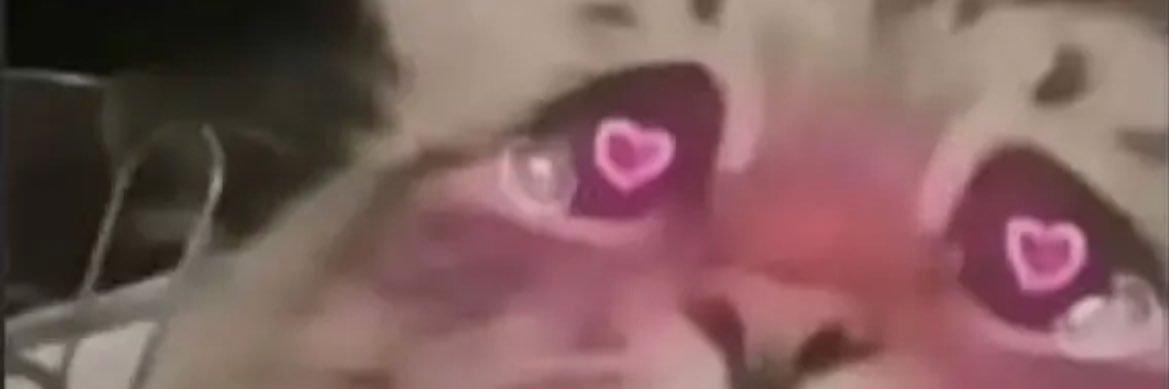 توفي الدب🔥🍭 banner