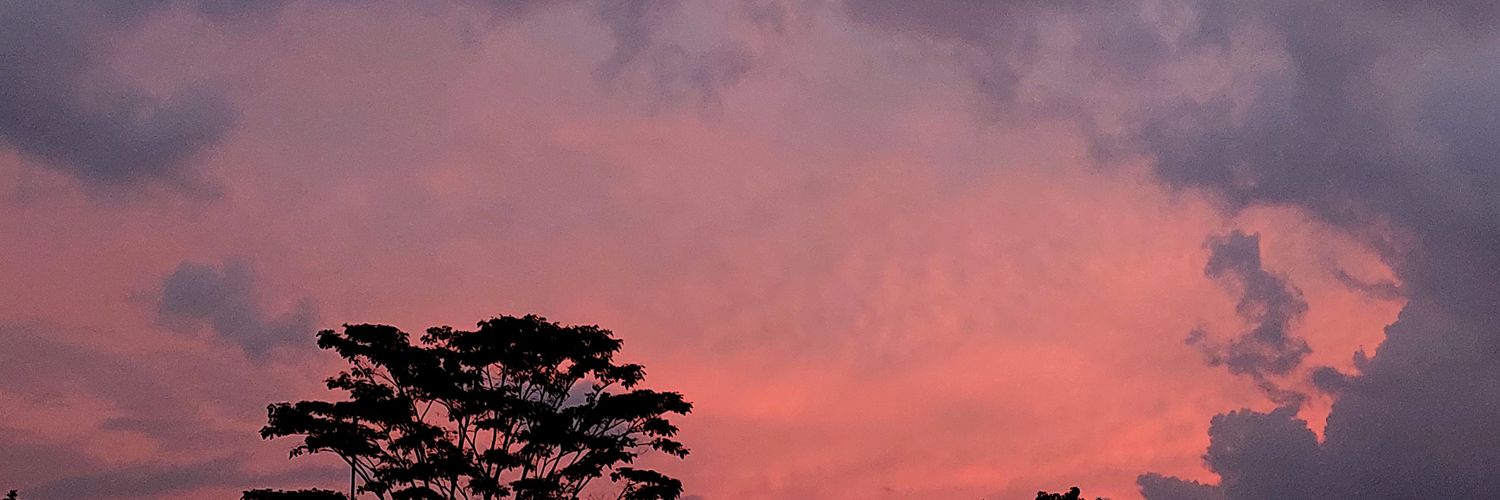 Max | 🍉 banner