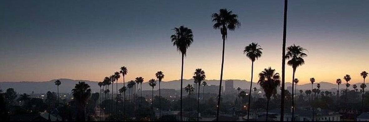yyazz69's profile banner image