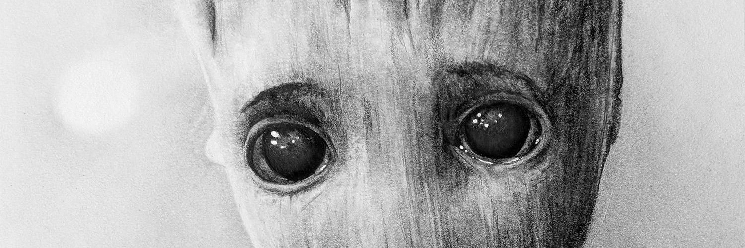 WillsHimself's profile banner image