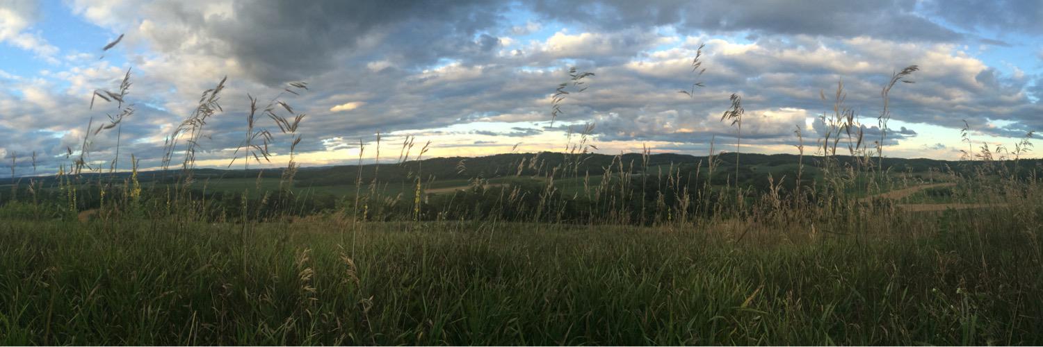 daniellemackkk's profile banner image