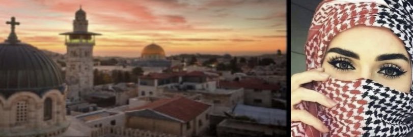 Embassy of the State of Palestine to Cyprus banner