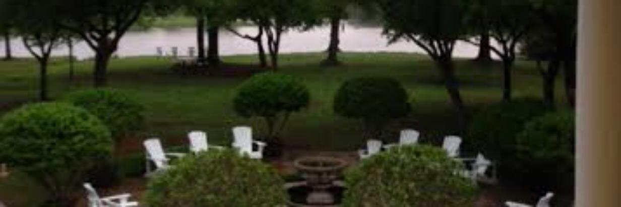 LizLoadholt's profile banner image