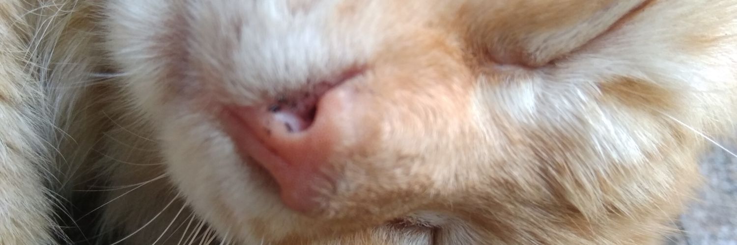 Addin008's profile banner image