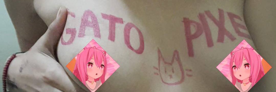 GatoPixel banner
