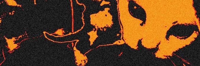 cyabluepard's profile banner image