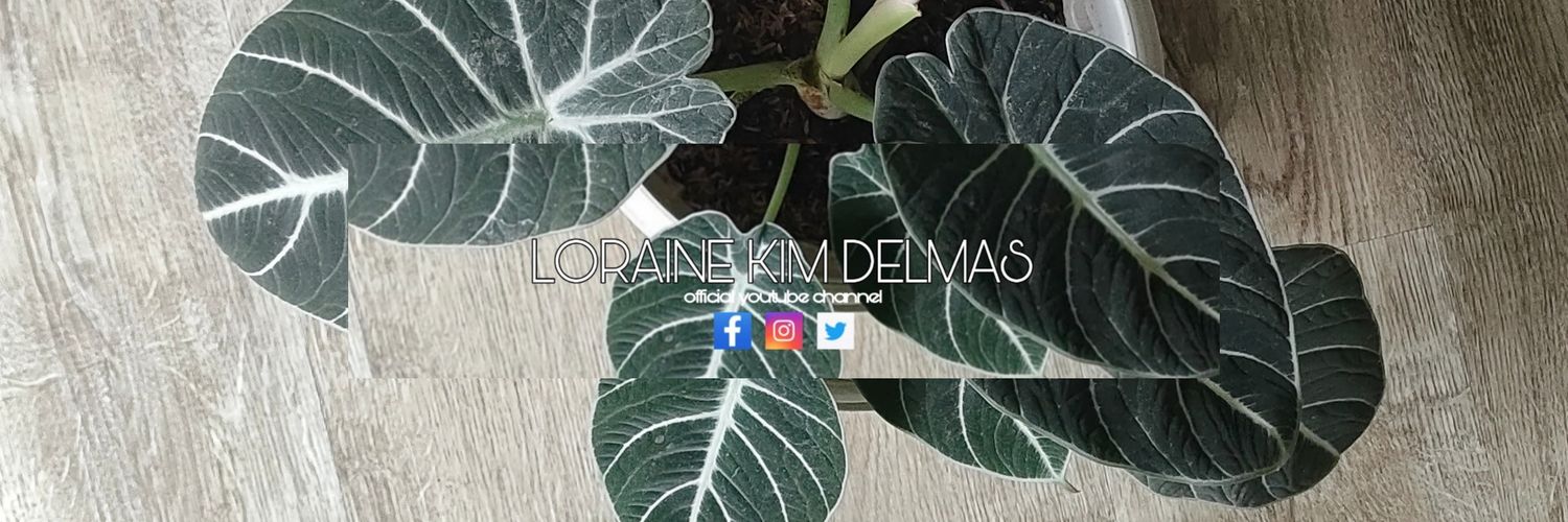 itsKimDelmas's profile banner image