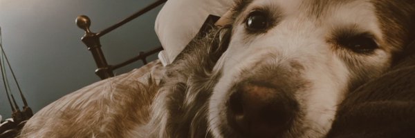 thatkelligirll Profile Banner