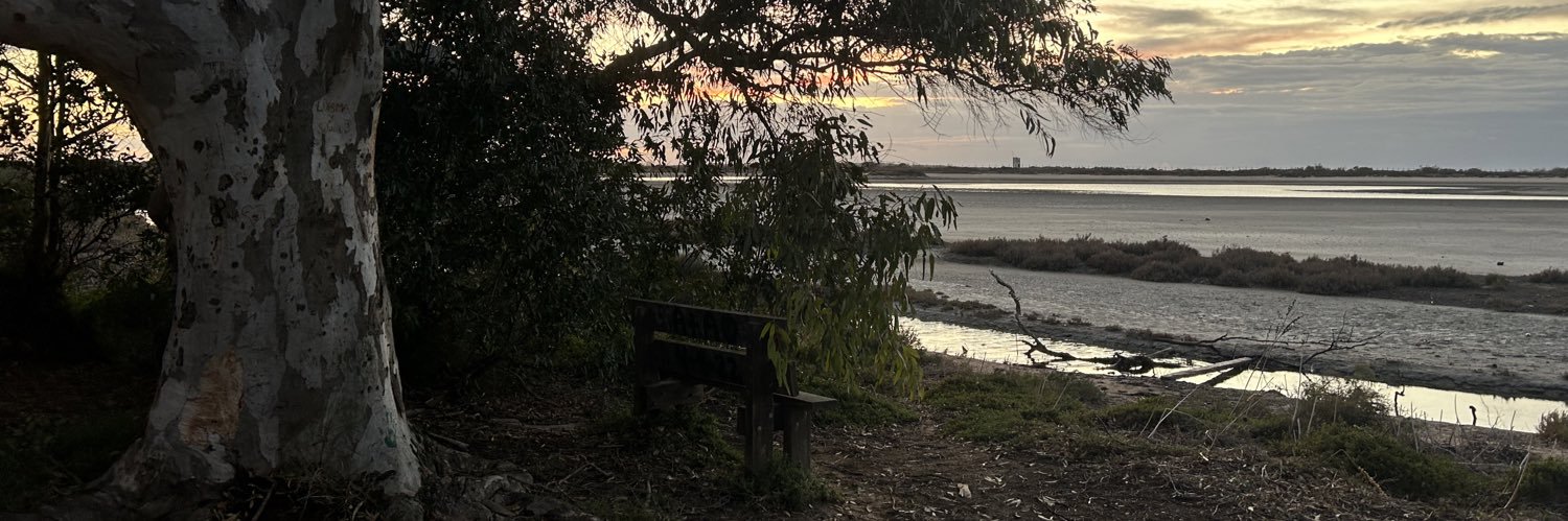 Manuel Escobar banner